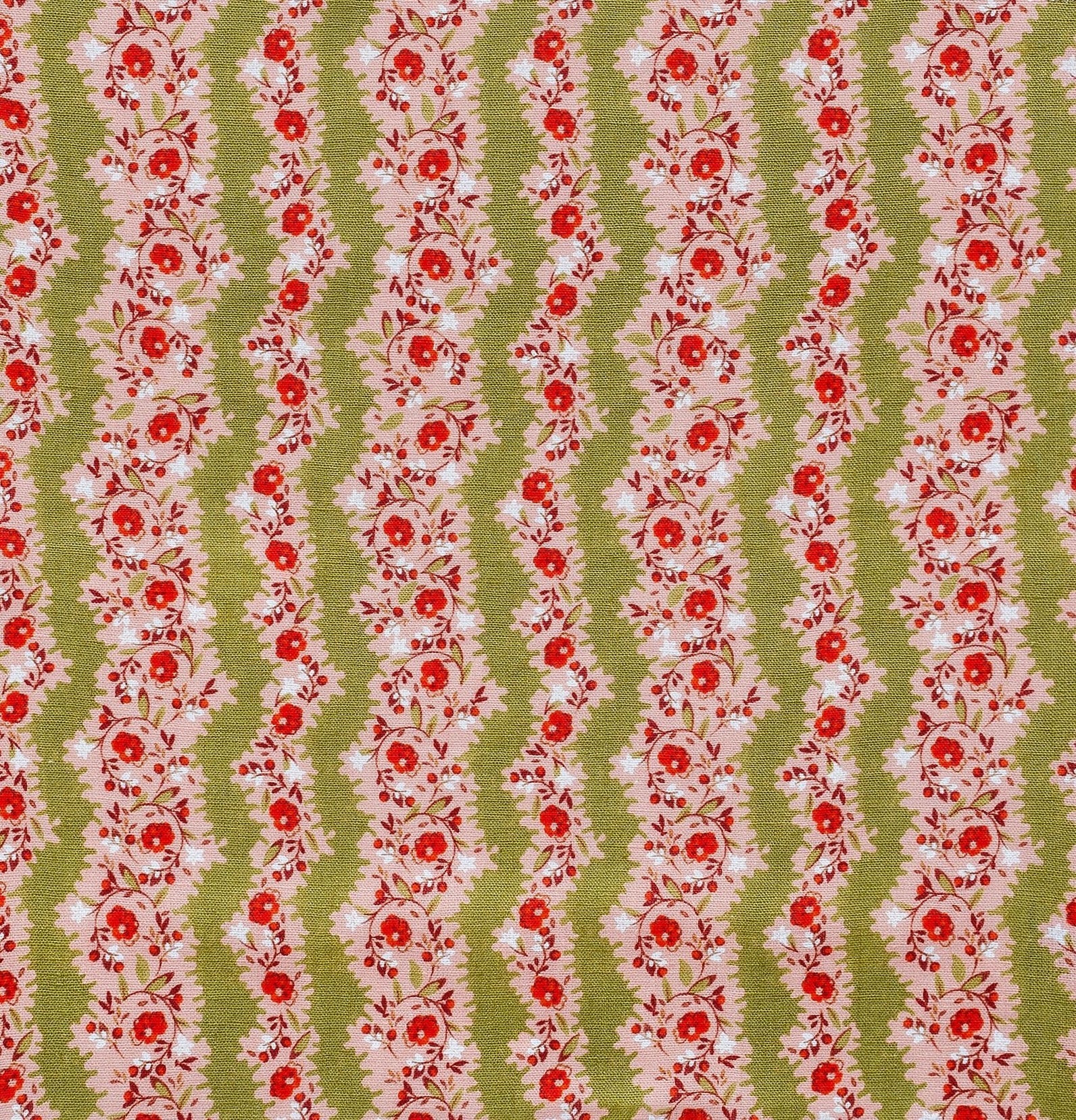 Hedgerow stripe, nocharella