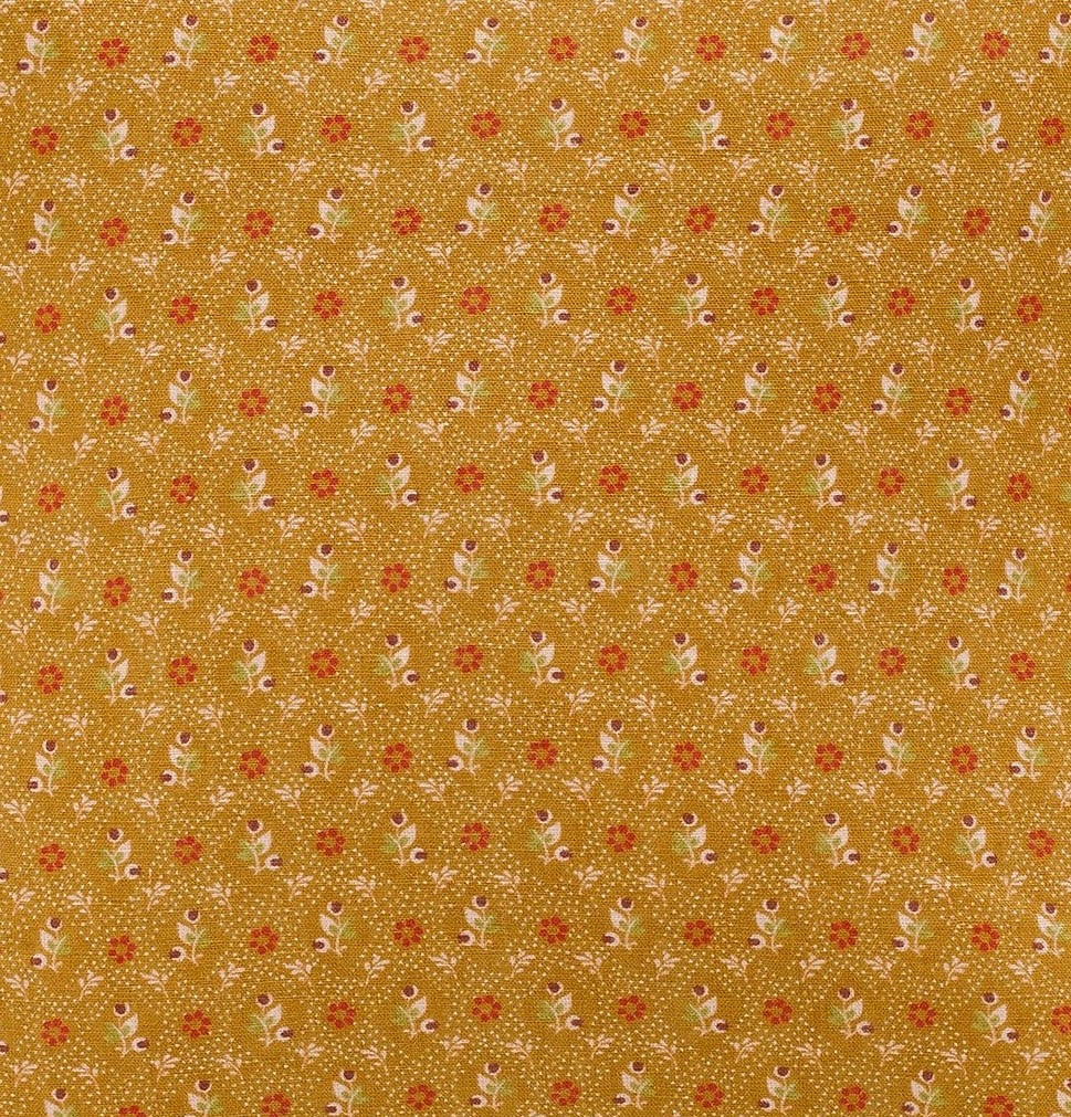 Tähti turmeric