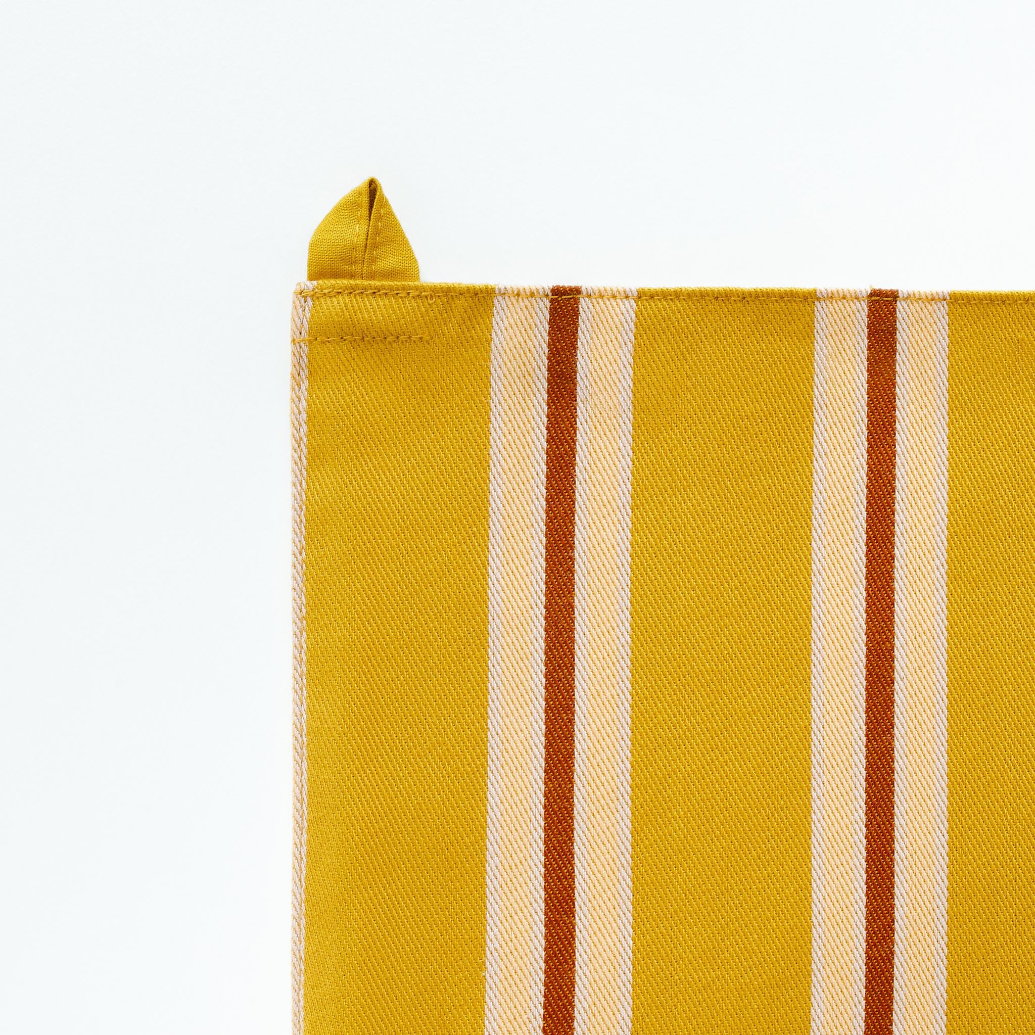 Turmeric pop stripe toran